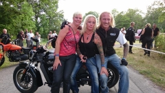 2016 MCE Hoj Rock_165 (152)