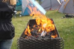 MCE Hoj Rock 2016 (29)
