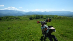 RIMG1739