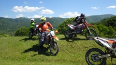 RIMG1743