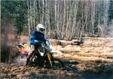 1997_0064