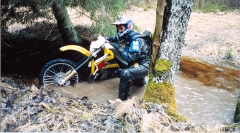 2003_0059