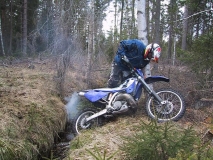 Bild 008