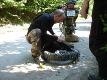 Borje (50)