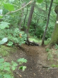 Enduro i Polen 2007 018