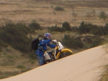 IMGP0520