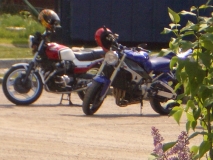 IMGP0615