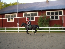 IMGP2833