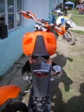 Magnus (8)