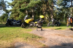 280_628__1__a____land_2009__2____3__olle_henriksson_large