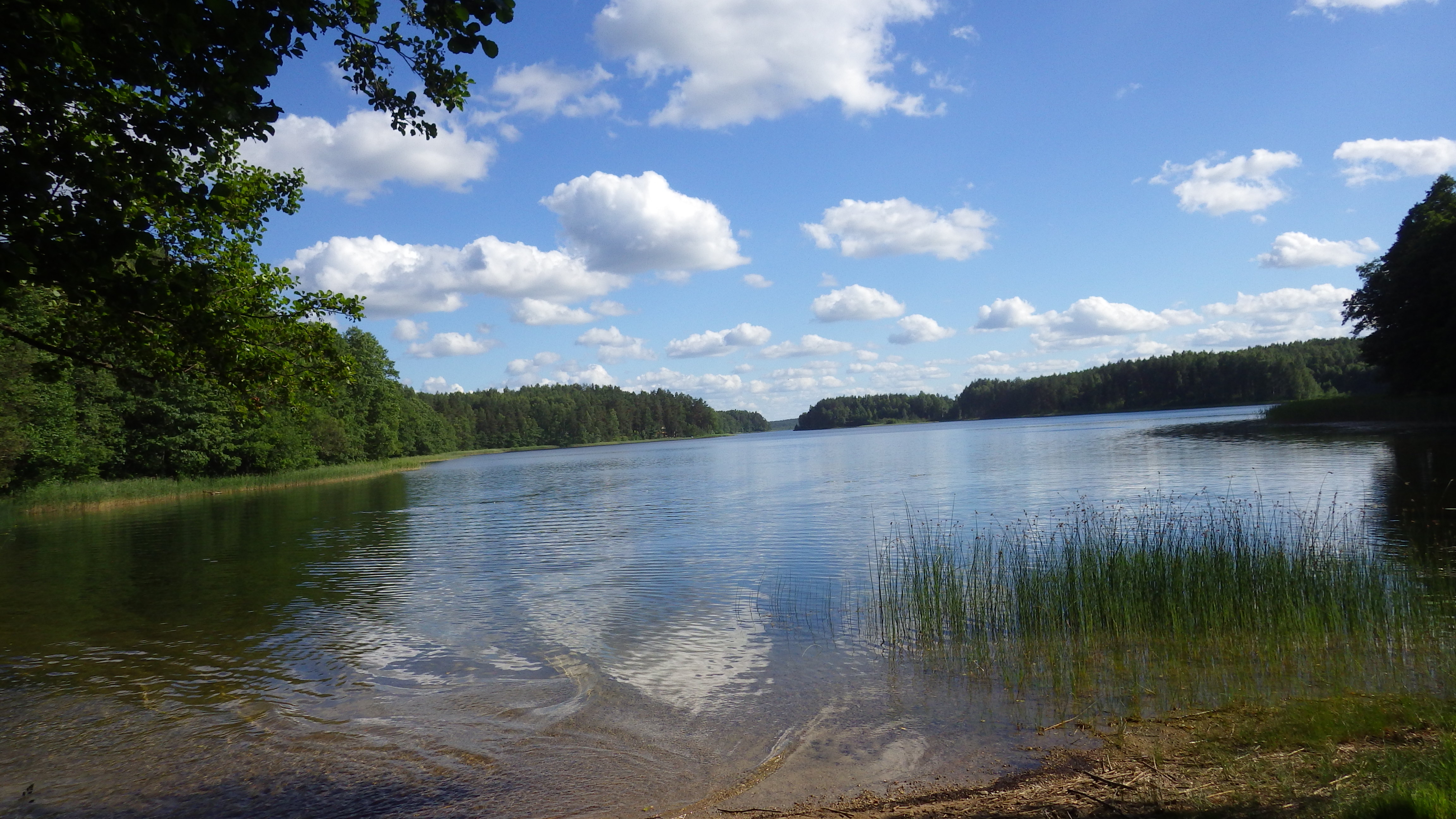 Belarus 056