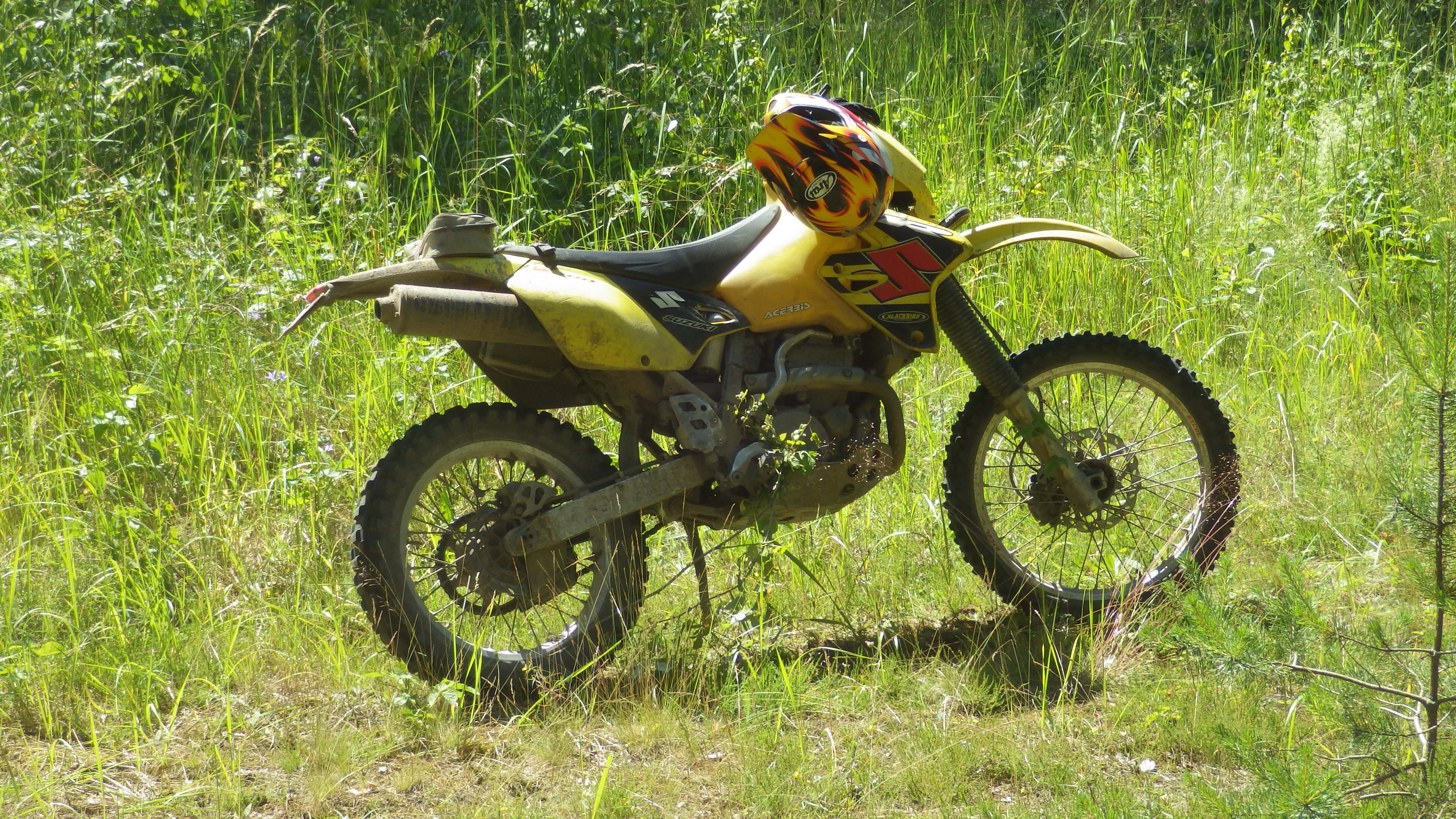 Belarus 082