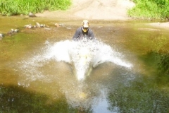 20110705_170437_p1000593_large