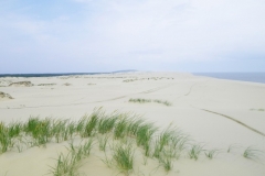 20110706_165512_imgp0027_large