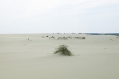 20110706_165517_imgp0028_large