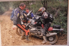 RIMG1771