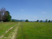 rum__nien_010_large