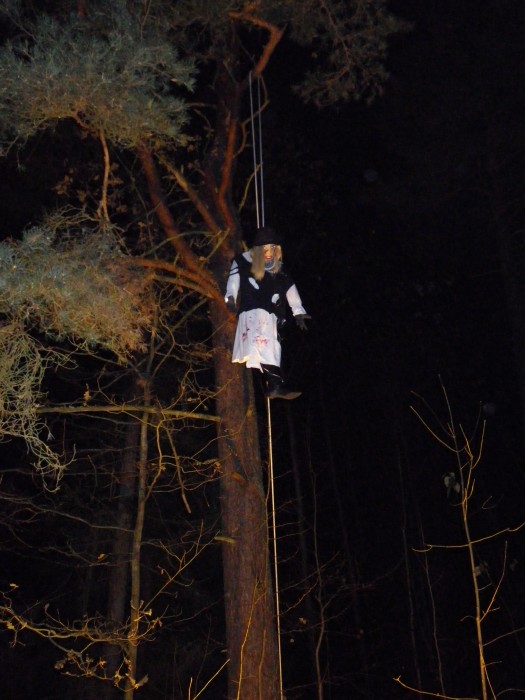 halloween_2013_002_large
