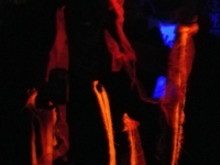 halloween_2013_020_large
