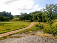 2013_mce_aland-45