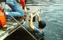 1981_0243
