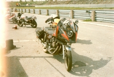 1987_0022