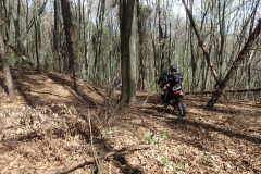 MCE-Dracula-Trailriding-2024-16