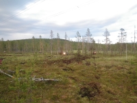 endurokul-i-finska-lappland-012