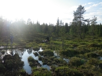 endurokul-i-finska-lappland-030