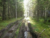 18-5-23-8-343
