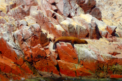 P5090464