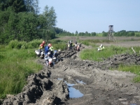 surf-and-turf-14-072