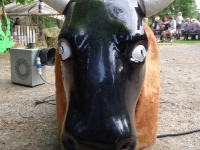 mce-texas-party-2014-22