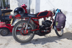 RIMG0236
