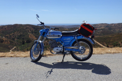 RIMG0239