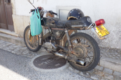 RIMG0255