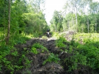 riga_beachrun_2012_066_large