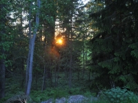 ds3_6885_large